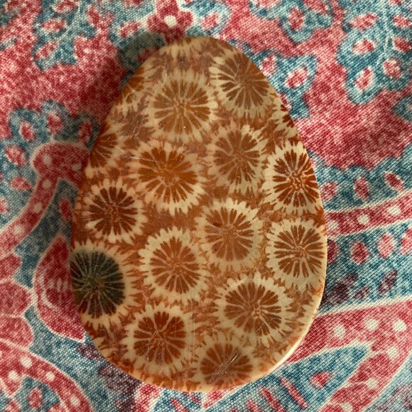 Fossil Coral Cabochon with Unique Crystalline Pattern - Picture 5 of 7